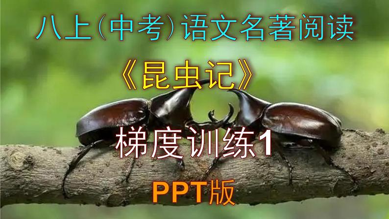 人教部编版八上语文名著阅读《昆虫记》梯度训练1 PPT版第1页