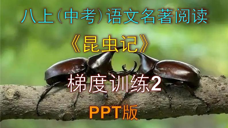 人教部编版八上语文名著阅读《昆虫记》梯度训练2 PPT版第1页