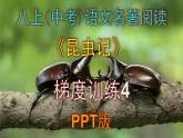 人教部编版八上语文名著阅读《昆虫记》梯度训练4 PPT版