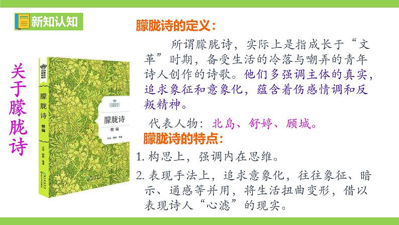 【任务型教学】2025部编初中语文九下1《祖国啊，我亲爱的祖国》 课件+教案+导学案（师生版）+同步测试（含答案）07