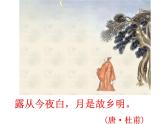 第11课《短文二篇——记承天寺夜游》课件2024—2025学年统编版语文八年级上册