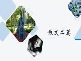 第16课《散文二篇》课件2024-2025学年统编版语文八年级上册