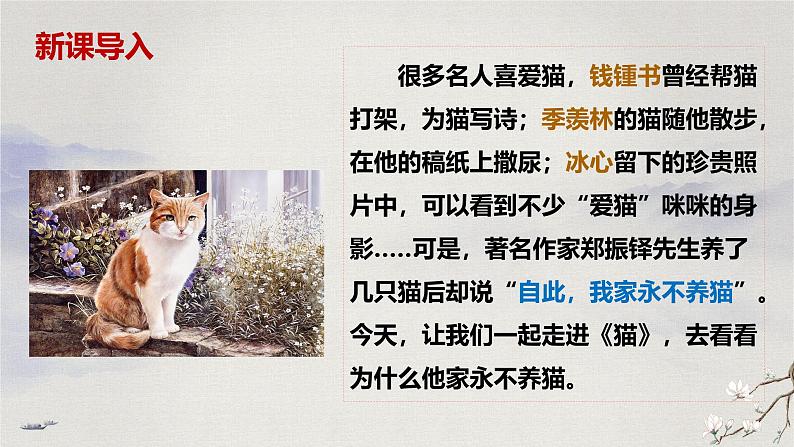 17 猫（教学课件）-初中语文统编版（2024）七年级上册第2页