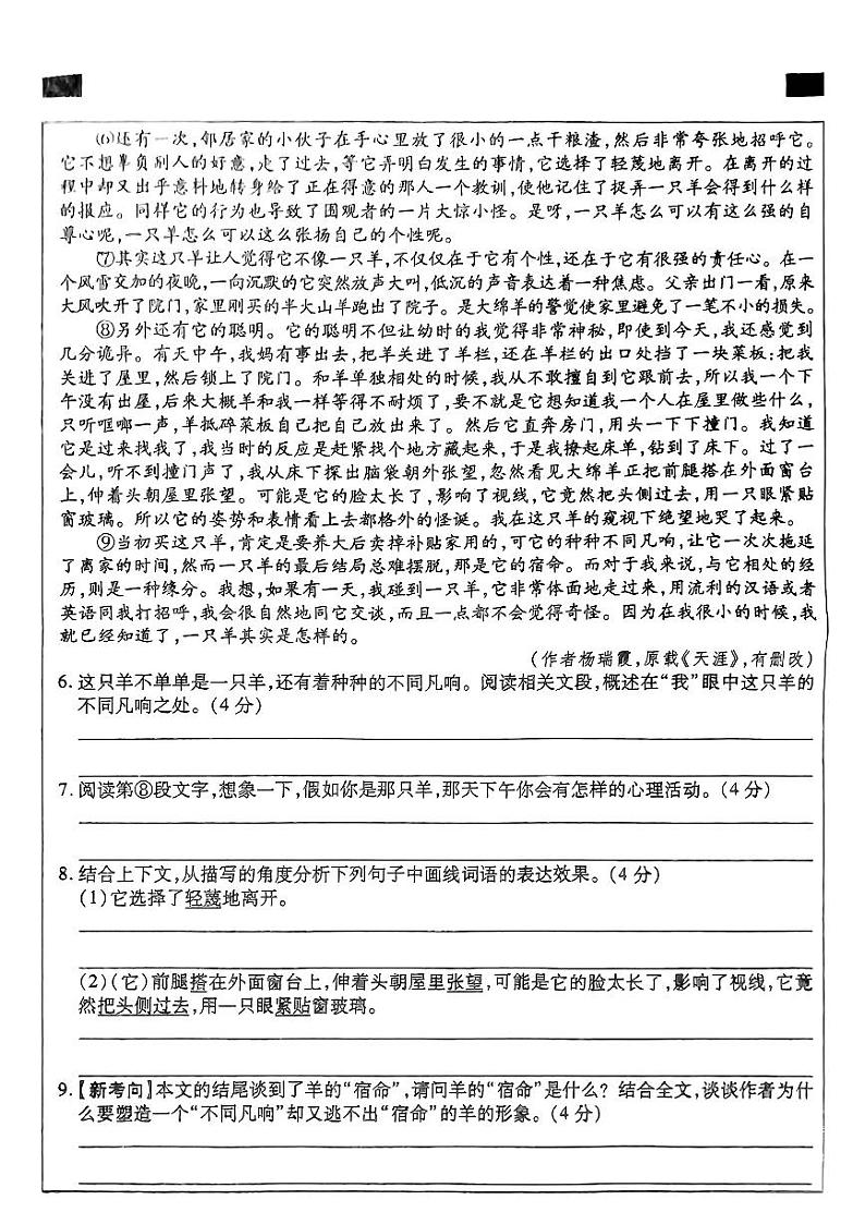 河南省开封市多校2024-2025学年九年级上学期第一次月考语文试题03