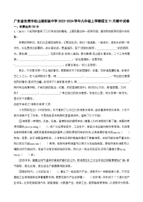 广东省东莞市松山湖实验中学2023-2024学年九年级上学期语文11月期中试卷