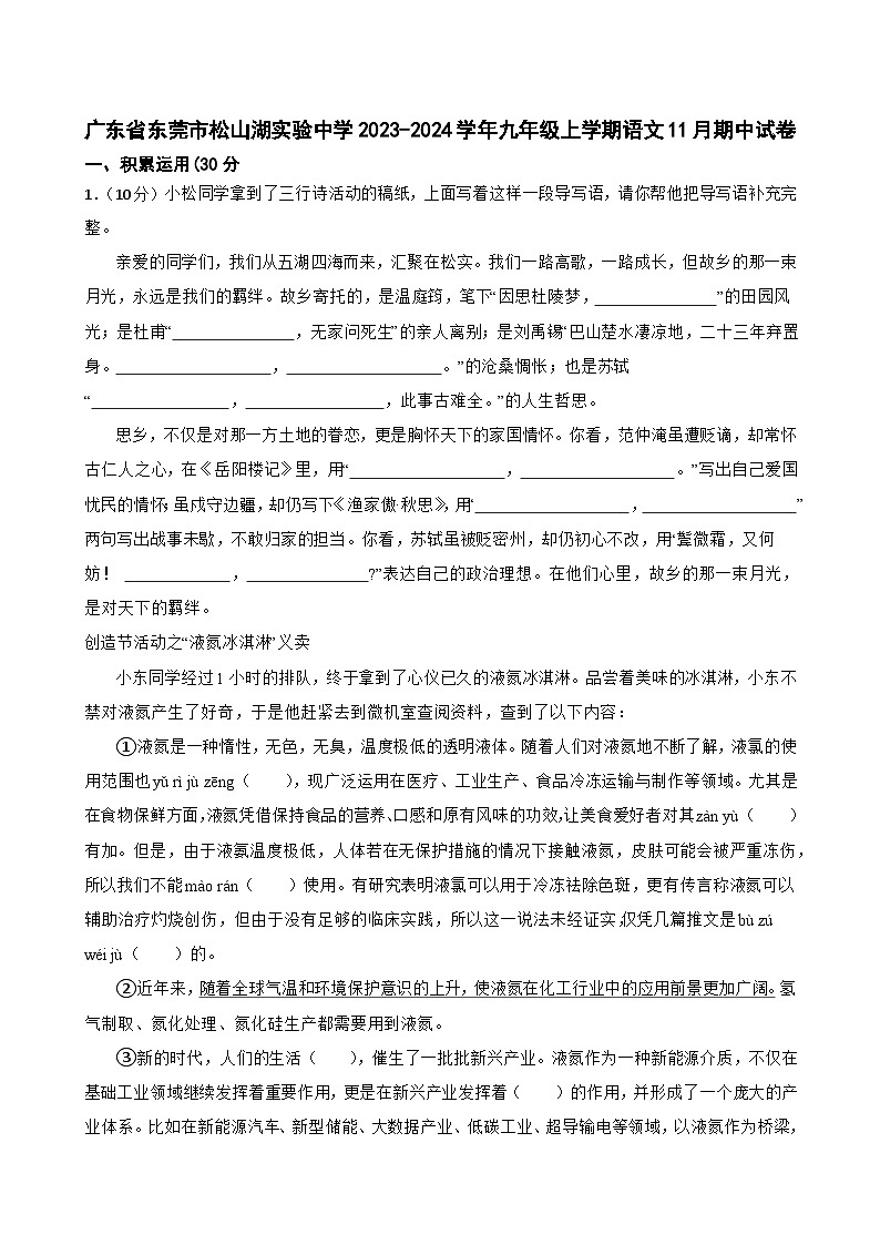 广东省东莞市松山湖实验中学2023-2024学年九年级上学期语文11月期中试卷01