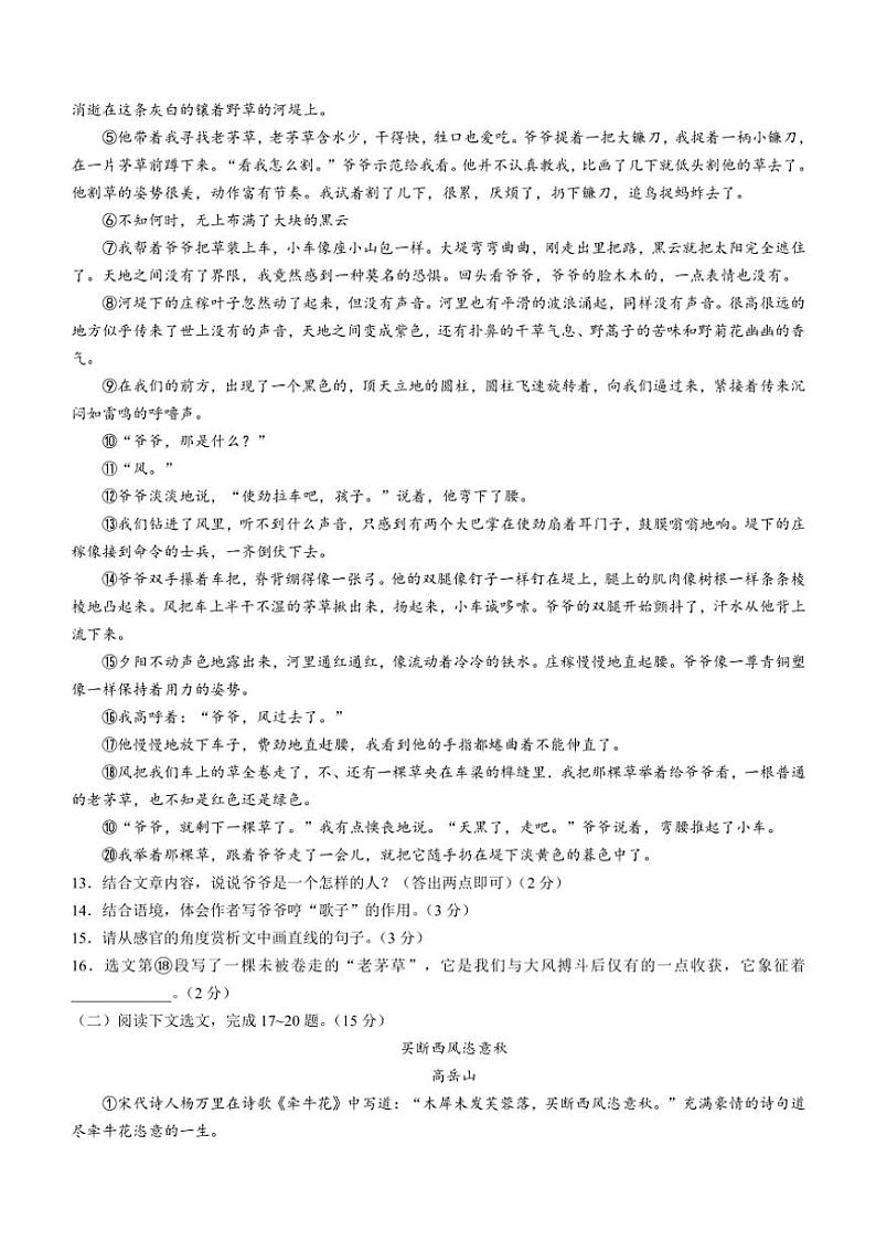[语文]辽宁省大连市沙河口区2024～2025学年七年级上学期开学考试试题(有答案)第3页
