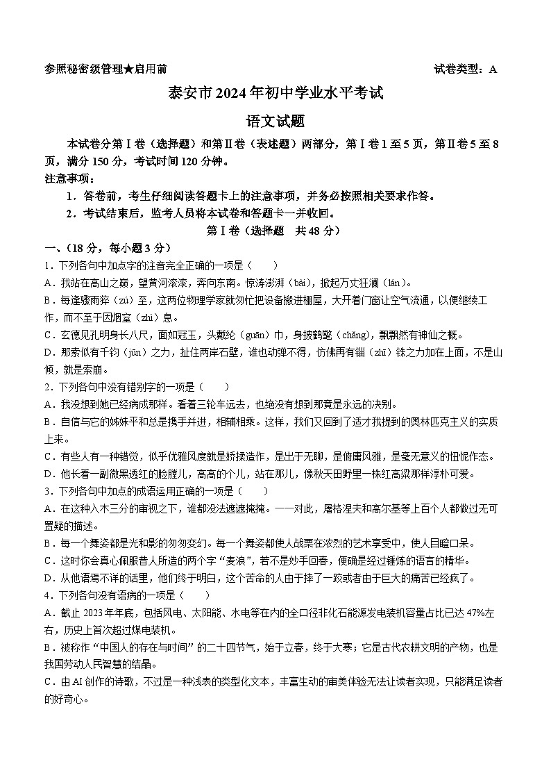 2024年山东省泰安市中考语文真题01