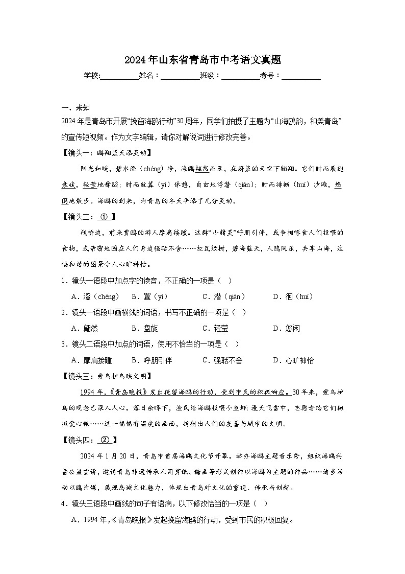 2024年山东省青岛市中考语文真题01