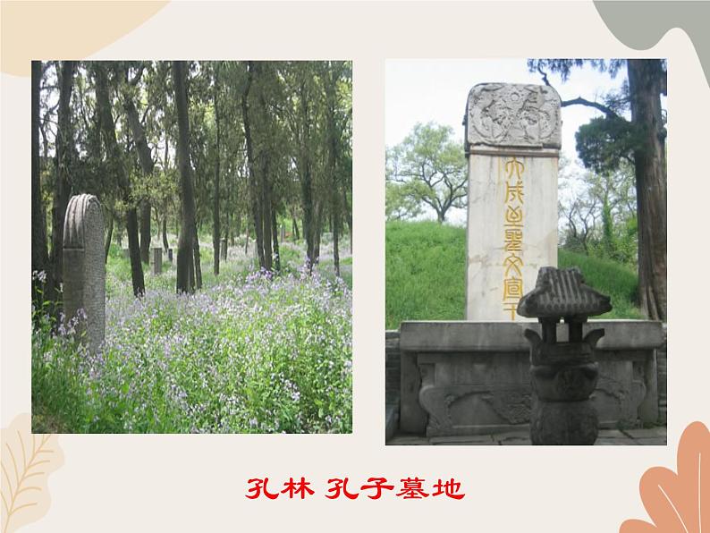 统编版（2024）七年级语文上册 12《论语》十二章课件第4页