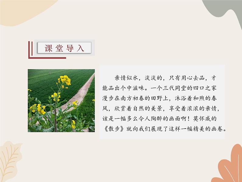 部编版（2024）七年级语文上册 6 散步课件03