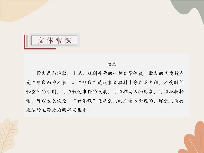 部编版（2024）七年级语文上册 6 散步课件06