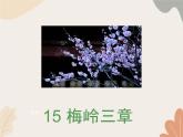 部编版（2024）七年级语文上册 15 梅岭三章课件