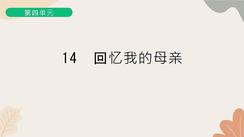 部编版（2024）七年级语文上册 14 回忆我的母亲习题课件第1页