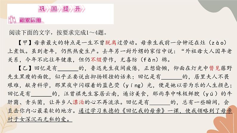 部编版（2024）七年级语文上册 14 回忆我的母亲习题课件第8页