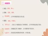 部编版（2024）七年级语文上册 18 我的白鸽习题课件