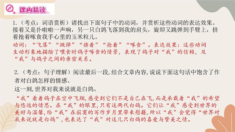 部编版（2024）七年级语文上册 18 我的白鸽习题课件06