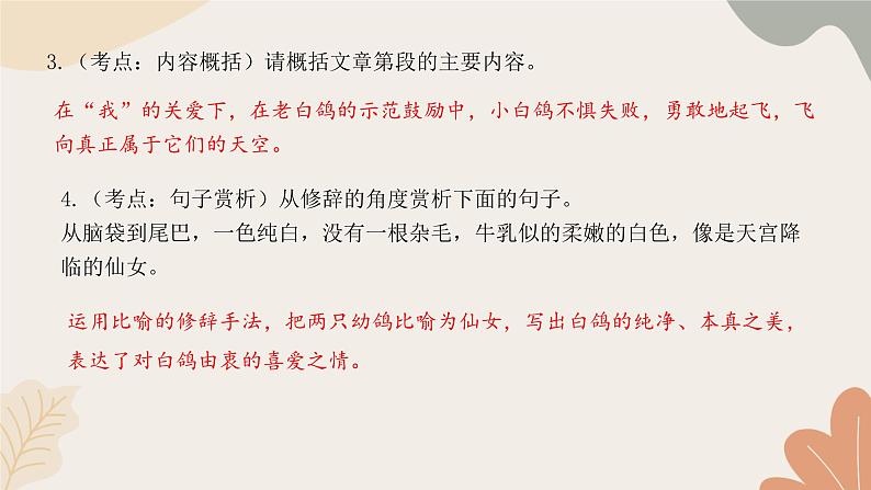 部编版（2024）七年级语文上册 18 我的白鸽习题课件07