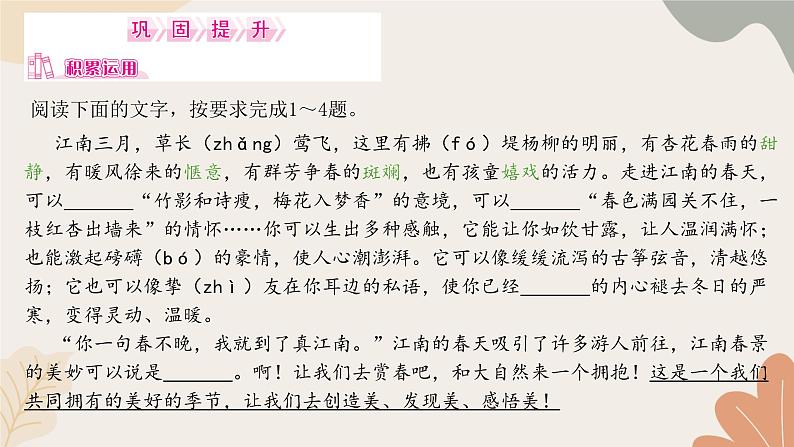 部编版（2024）七年级语文上册 18 我的白鸽习题课件08