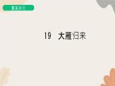 部编版（2024）七年级语文上册 19 大雁归来习题课件