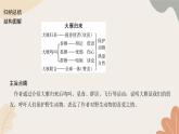 部编版（2024）七年级语文上册 19 大雁归来习题课件