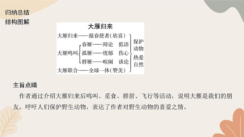 部编版（2024）七年级语文上册 19 大雁归来习题课件第3页