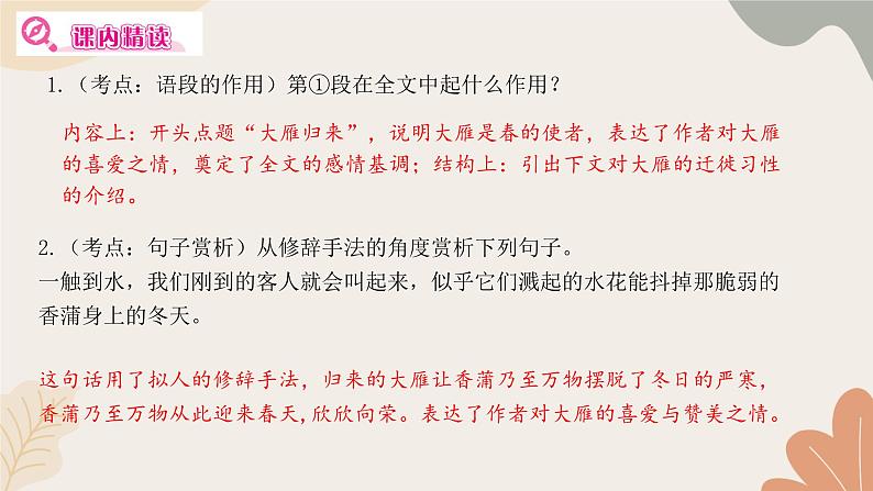 部编版（2024）七年级语文上册 19 大雁归来习题课件第6页