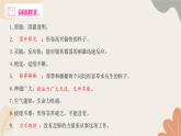 部编版（2024）七年级语文上册 23 女娲造人习题课件