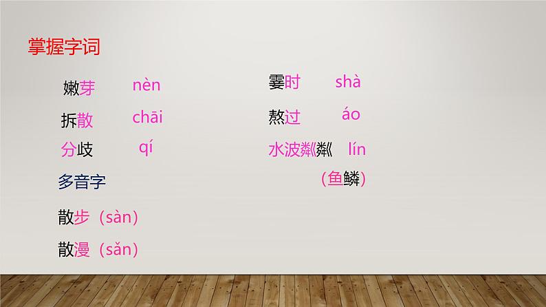 课件：部编版初中语文七年级上册第二单元第6课 散步03