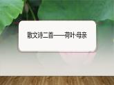 課件：部編版初中語文七年級(jí)上冊(cè)第二單元第7課 散文詩二首——荷葉·母親