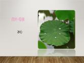 課件：部編版初中語文七年級(jí)上冊(cè)第二單元第7課 散文詩二首——荷葉·母親
