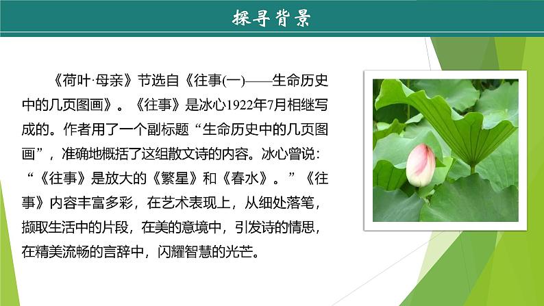 课件：部编版初中语文七年级上册第二单元第7课 散文诗二首——荷叶·母亲08