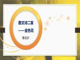 課件：部編版初中語文七年級上冊第二單元第7課 散文詩二首——金色花