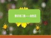 課件：部編版初中語文七年級上冊第二單元第7課 散文詩二首——金色花