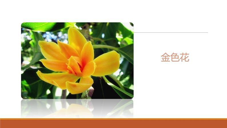 课件：部编版初中语文七年级上册第二单元第7课 散文诗二首——金色花第2页