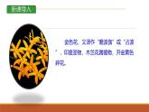 課件：部編版初中語文七年級上冊第二單元第7課 散文詩二首——金色花