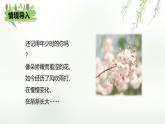 課件：部編版初中語文七年級上冊第三單元第10課 往事依依