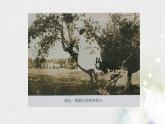 课件：部编版初中语文七年级上册第三单元第11课 再塑生命的人