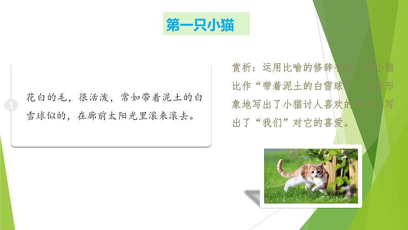 课件：部编版初中语文七年级上册第五单元第17课 猫 第2课时第5页