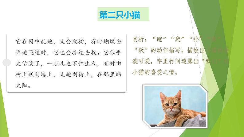 课件：部编版初中语文七年级上册第五单元第17课 猫 第2课时第8页