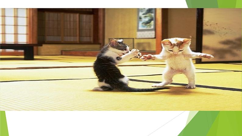 课件：部编版初中语文七年级上册第五单元第16课 猫03