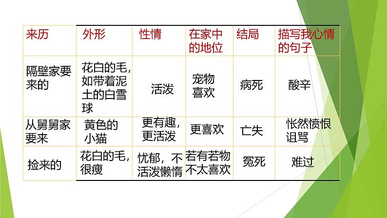 课件：部编版初中语文七年级上册第五单元第16课 猫08