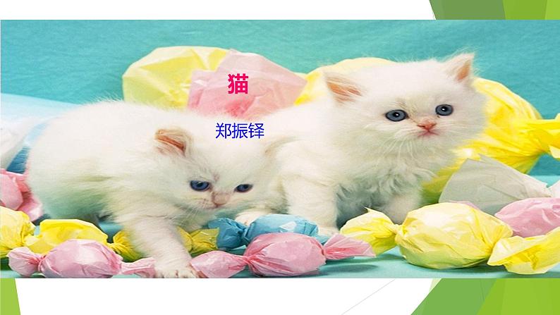 课件：部编版初中语文七年级上册第五单元第17课 猫01