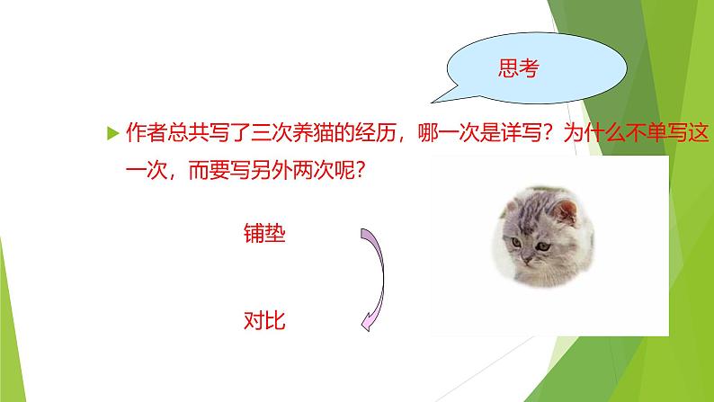 课件：部编版初中语文七年级上册第五单元第17课 猫08