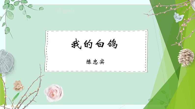 课件：部编版初中语文七年级上册第五单元第18课 我的白鸽第1页