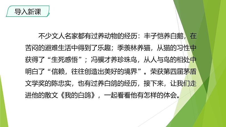 课件：部编版初中语文七年级上册第五单元第18课 我的白鸽第3页