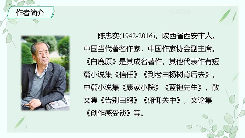 课件：部编版初中语文七年级上册第五单元第18课 我的白鸽第4页