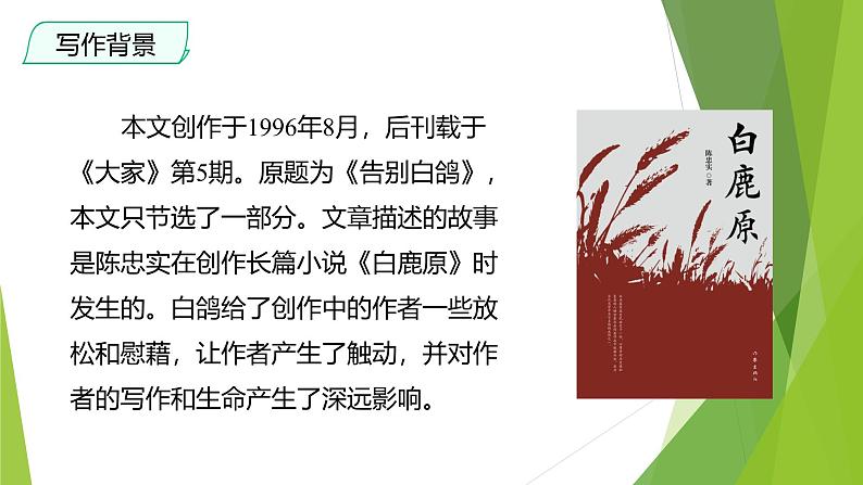 课件：部编版初中语文七年级上册第五单元第18课 我的白鸽第5页