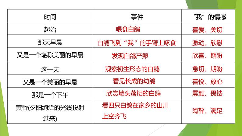 课件：部编版初中语文七年级上册第五单元第18课 我的白鸽第8页