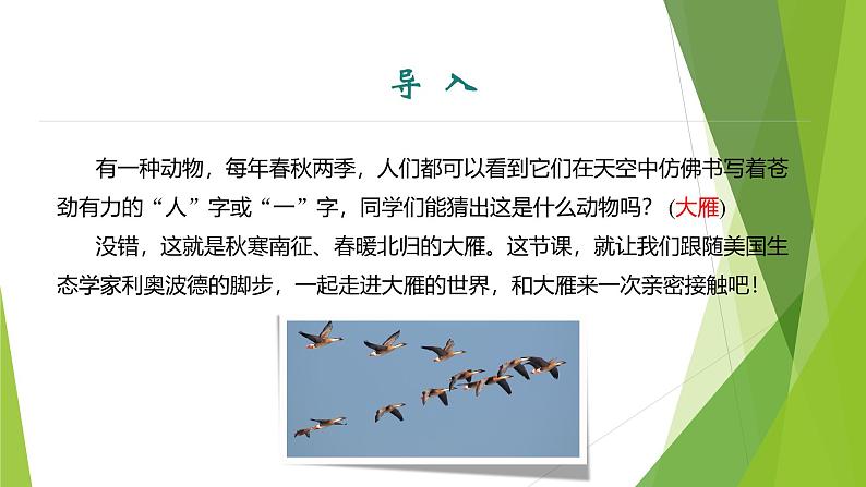 课件：部编版初中语文七年级上册第五单元第19课 大雁归来 第1课时03